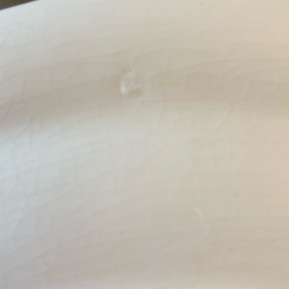 Vintage Blue Ridge Southern Potteries Dinner Plate - Picture 8 of 12